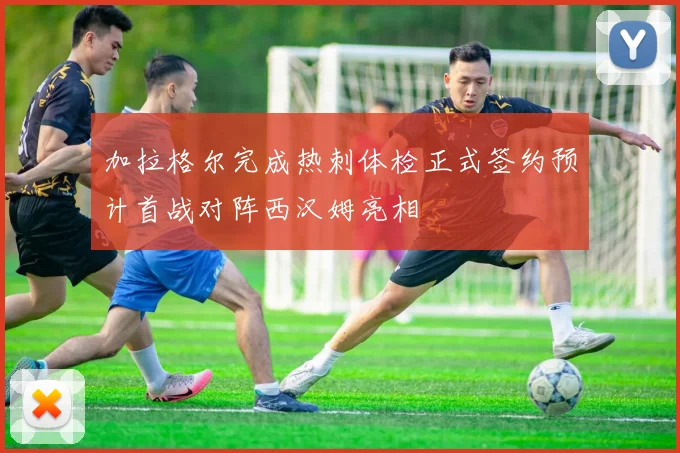 加拉格尔完成热刺体检正式签约预计首战对阵西汉姆亮相